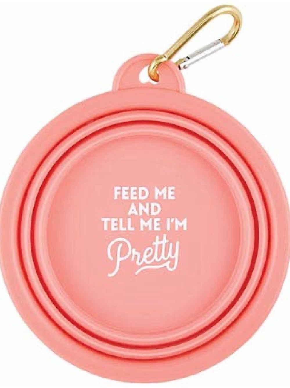 Collapsible Portable Dog Bowl in Coral Pink with Carabiner